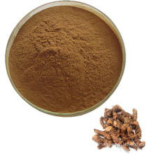 High Quality China alpinia galangal extract